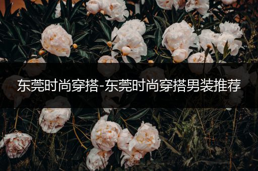 东莞时尚穿搭-东莞时尚穿搭男装推荐