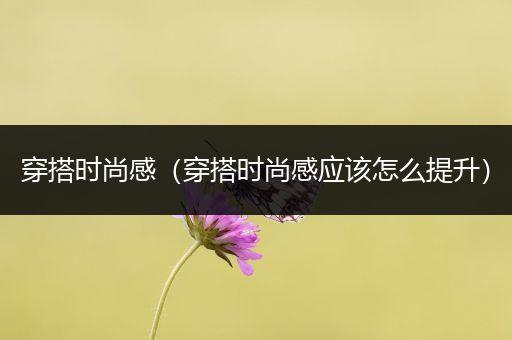 穿搭时尚感（穿搭时尚感应该怎么提升）