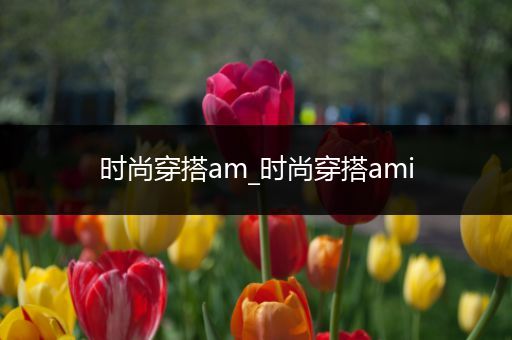 时尚穿搭am_时尚穿搭ami