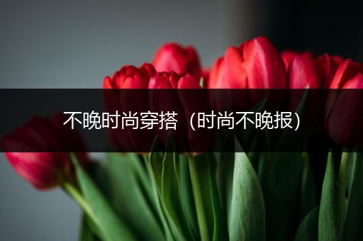 不晚时尚穿搭（时尚不晚报）