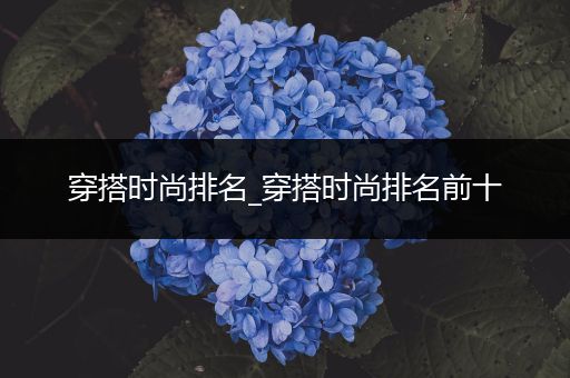 穿搭时尚排名_穿搭时尚排名前十