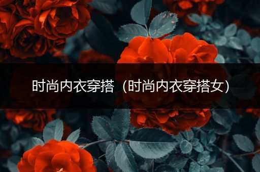 时尚内衣穿搭（时尚内衣穿搭女）