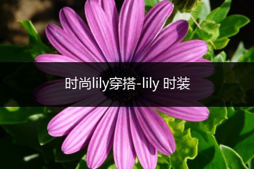 时尚lily穿搭-lily 时装