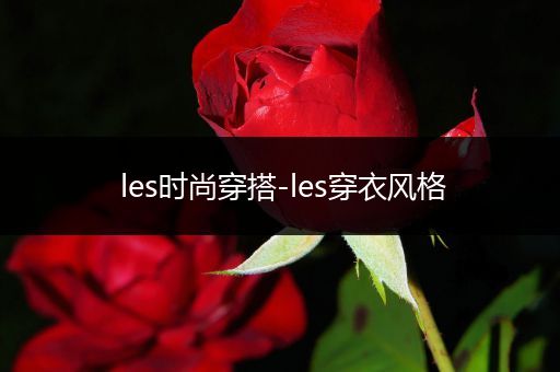 les时尚穿搭-les穿衣风格