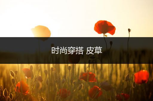 时尚穿搭 皮草