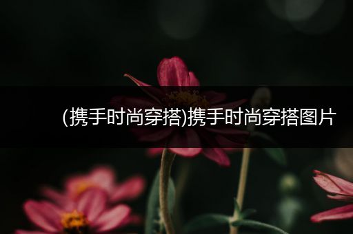 （携手时尚穿搭)携手时尚穿搭图片