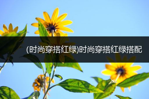 （时尚穿搭红绿)时尚穿搭红绿搭配