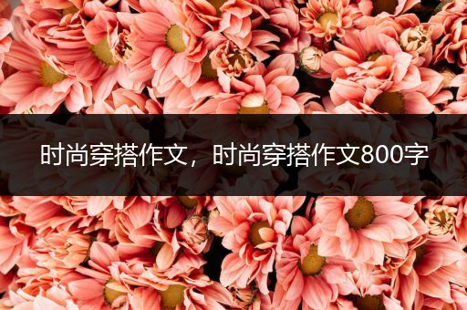 时尚穿搭作文，时尚穿搭作文800字