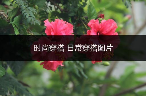 时尚穿搭 日常穿搭图片