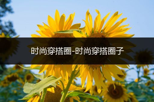 时尚穿搭圈-时尚穿搭圈子