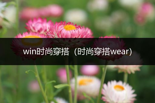 win时尚穿搭（时尚穿搭wear）