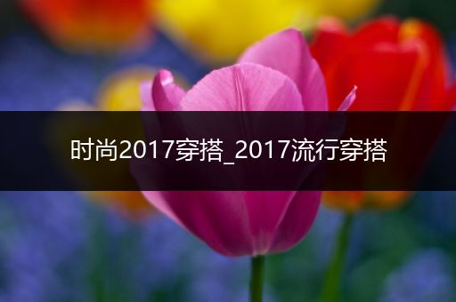 时尚2017穿搭_2017流行穿搭