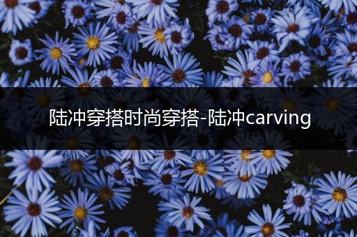 陆冲穿搭时尚穿搭-陆冲carving