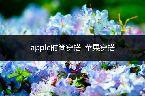 apple时尚穿搭_苹果穿搭