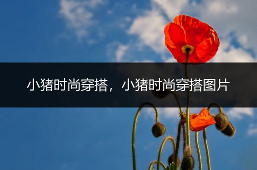 小猪时尚穿搭，小猪时尚穿搭图片