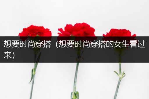 想要时尚穿搭（想要时尚穿搭的女生看过来）