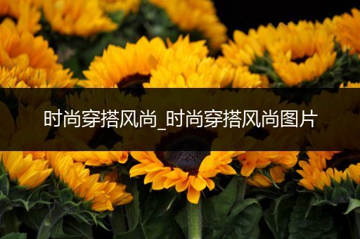 时尚穿搭风尚_时尚穿搭风尚图片