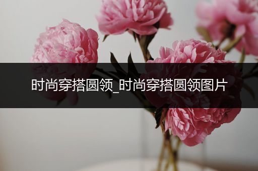 时尚穿搭圆领_时尚穿搭圆领图片