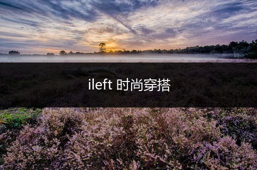 ileft 时尚穿搭