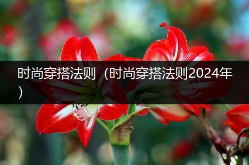 时尚穿搭法则（时尚穿搭法则2024年）