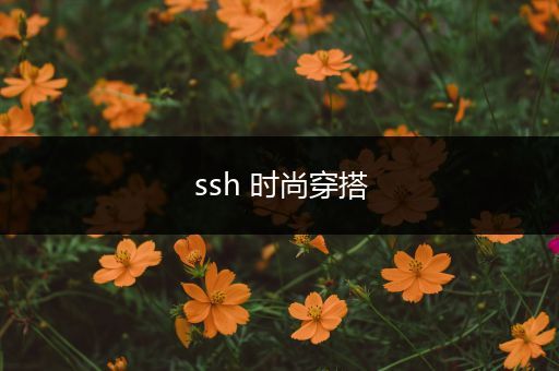 ssh 时尚穿搭