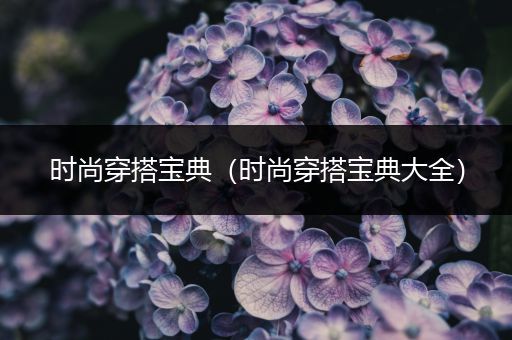 时尚穿搭宝典（时尚穿搭宝典大全）