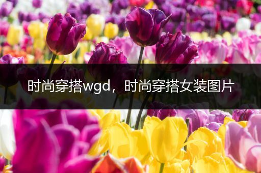 时尚穿搭wgd，时尚穿搭女装图片