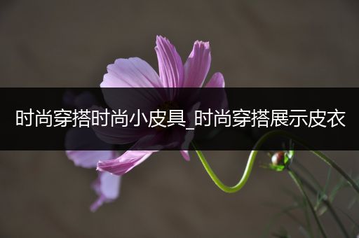 时尚穿搭时尚小皮具_时尚穿搭展示皮衣