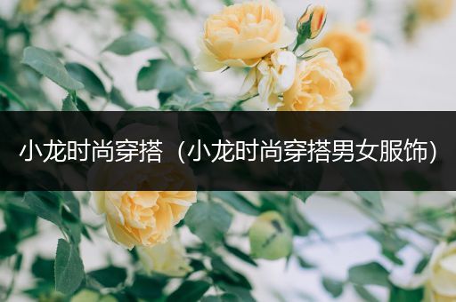 小龙时尚穿搭（小龙时尚穿搭男女服饰）