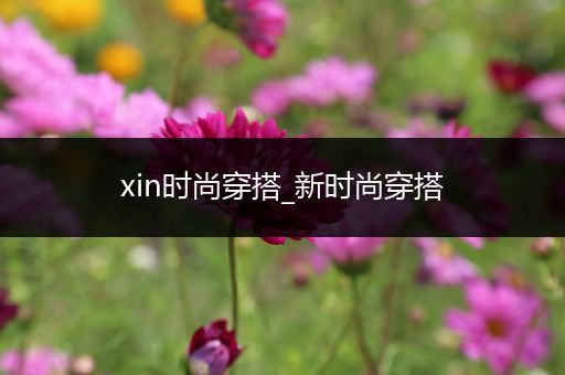 xin时尚穿搭_新时尚穿搭