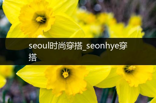 seoul时尚穿搭_seonhye穿搭