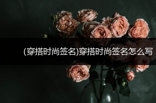 （穿搭时尚签名)穿搭时尚签名怎么写