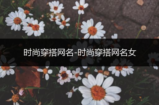 时尚穿搭网名-时尚穿搭网名女