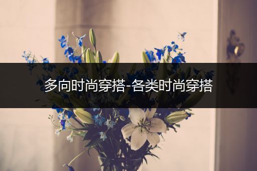 多向时尚穿搭-各类时尚穿搭