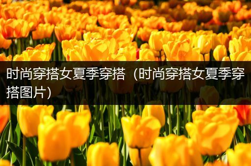 时尚穿搭女夏季穿搭（时尚穿搭女夏季穿搭图片）