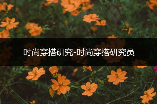 时尚穿搭研究-时尚穿搭研究员