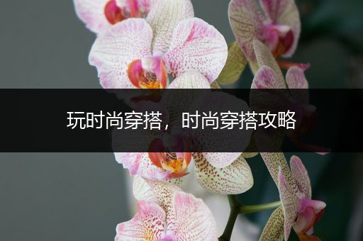 玩时尚穿搭，时尚穿搭攻略