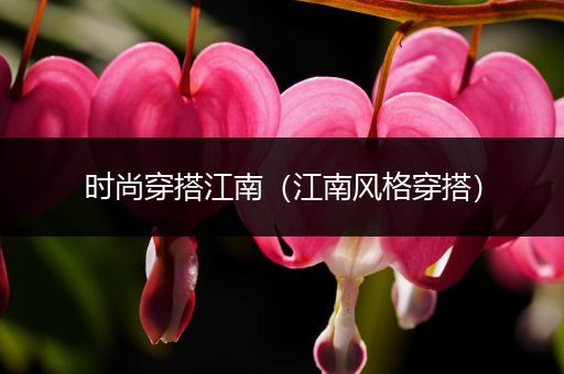 时尚穿搭江南（江南风格穿搭）