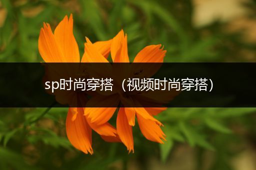 sp时尚穿搭（视频时尚穿搭）