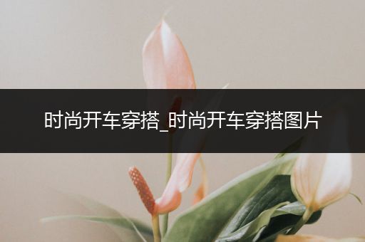 时尚开车穿搭_时尚开车穿搭图片