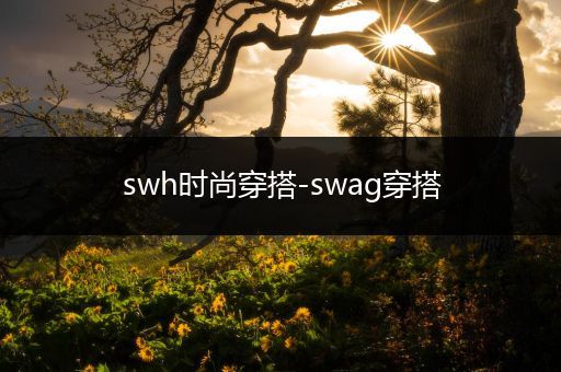 swh时尚穿搭-swag穿搭