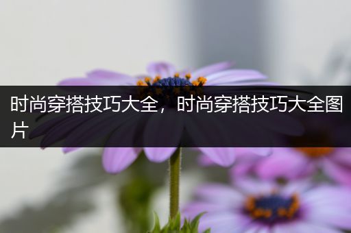 时尚穿搭技巧大全，时尚穿搭技巧大全图片