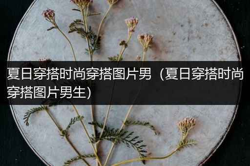 夏日穿搭时尚穿搭图片男（夏日穿搭时尚穿搭图片男生）