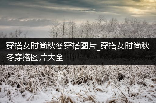 穿搭女时尚秋冬穿搭图片_穿搭女时尚秋冬穿搭图片大全