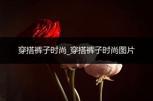 穿搭裤子时尚_穿搭裤子时尚图片