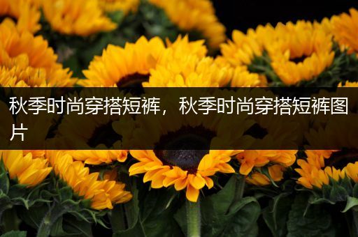 秋季时尚穿搭短裤，秋季时尚穿搭短裤图片