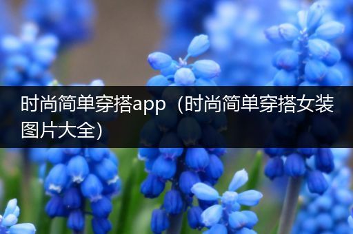 时尚简单穿搭app（时尚简单穿搭女装图片大全）