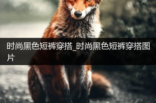 时尚黑色短裤穿搭_时尚黑色短裤穿搭图片