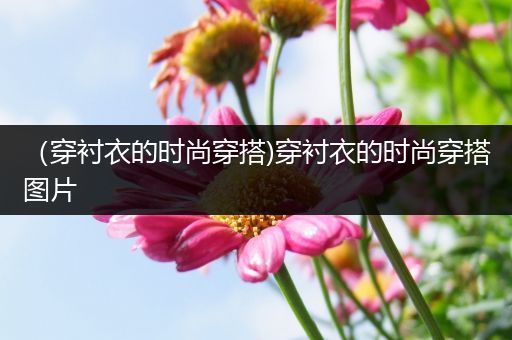 （穿衬衣的时尚穿搭)穿衬衣的时尚穿搭图片