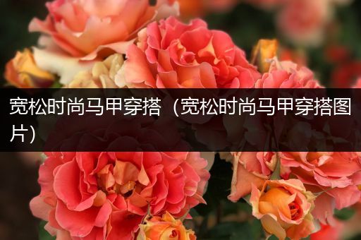 宽松时尚马甲穿搭（宽松时尚马甲穿搭图片）